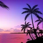ShowMeSunset